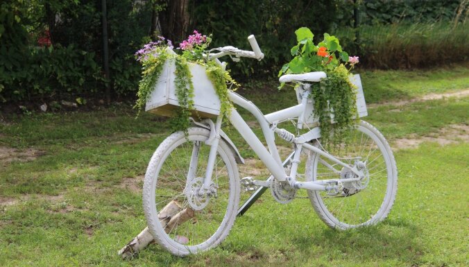 ФОТО: Творческие идеи для цветников, подсмотренные у латвийских садоводов