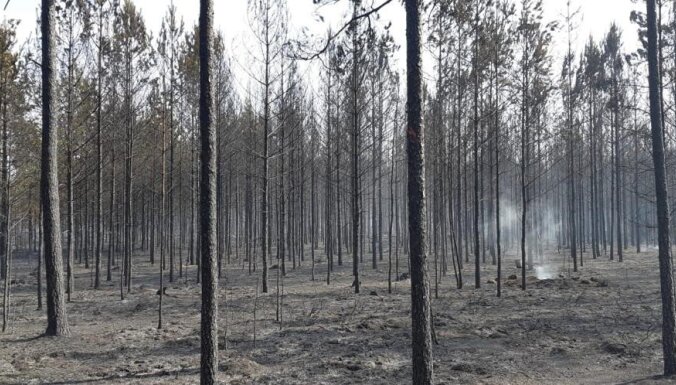 Meža īpašniekus aicina sakārtot meža ugunsapsardzības infrastruktūru