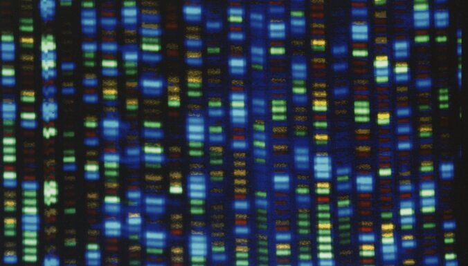 Beidzot pabeigts pa īstam – sekvencēts viss cilvēka genoms