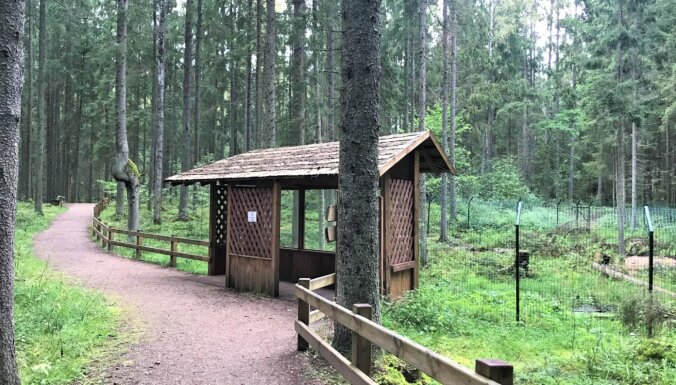 Gleznains un izzinošs velomaršruts, kas ved no Gaujas līdz Daugavai