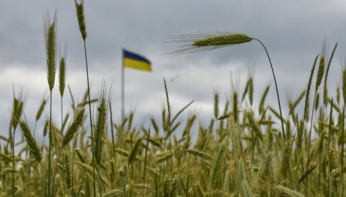 Arī Slovākija aizliedz Ukrainas labības ievešanu