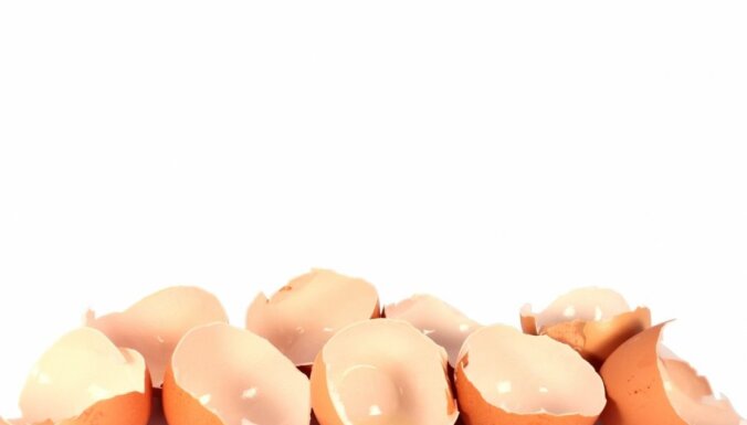 Яичная скорлупа как удобрение: как собирать и правильно использовать