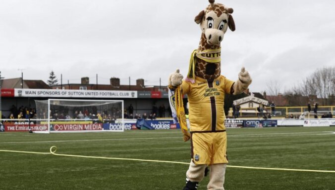 Sutton United mascot Jenny the Giraffe