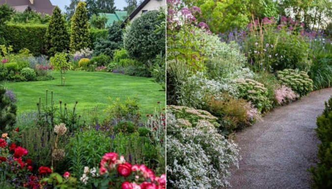 Trīs 'Instagram' konti ar skaistiem dārziem, kas būs iedvesmas avots