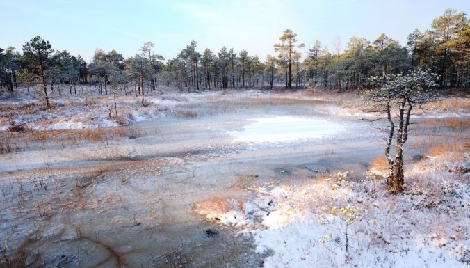 ФОТО. Необычные зимние виды Ценского болота рядом с Ригой