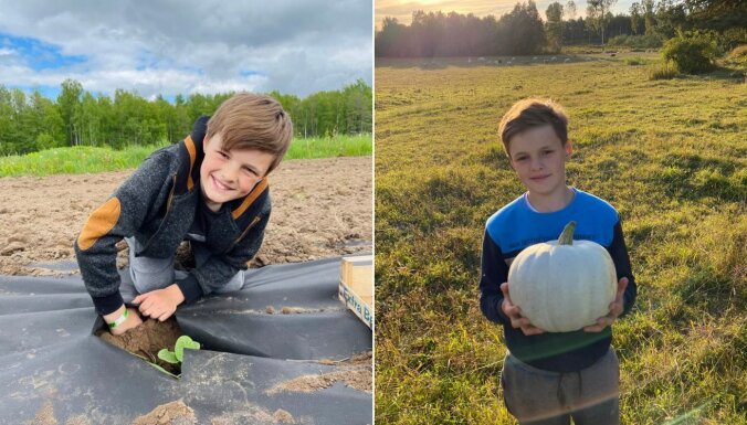 10 gadus vecais Reinis izaudzējis brangu ķirbju ražu un cer nopirkt piekabi