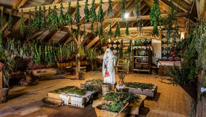 Foto: Ziedu festivāls Pakrojā pārsteidz arī ar ēdamām puķēm