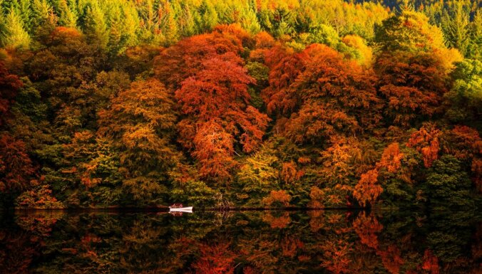 Kur doties, ja vēlies baudīt rudens ainas kā no pastkartītēm? Uz Skotijas augstienēm!