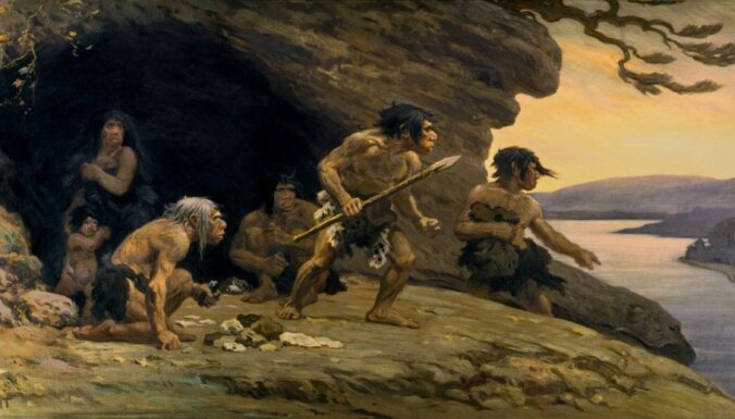 Перед вымиранием неандертальцы пережили демографический взрыв
