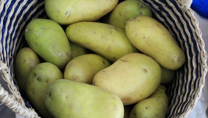 Pēc dārzeņu ēšanas – uz slimnīcu? Kas jāzina par zaļajiem kartupeļiem un rūgtajiem gurķiem