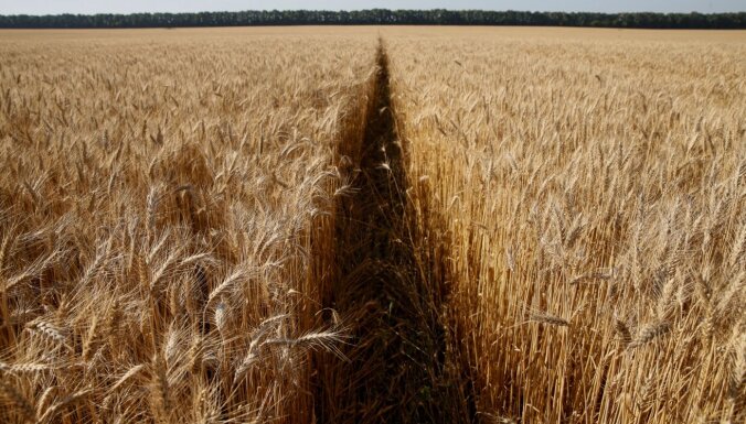 ASV plāno atcelt sankcijas pret Baltkrieviju apmaiņā pret Ukrainas graudu tranzītu, vēsta medijs