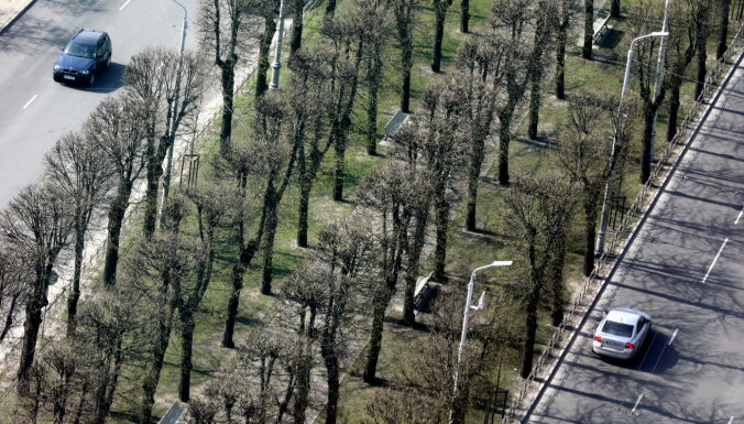 Šogad Rīgā plāno iestādīt 148 kokus