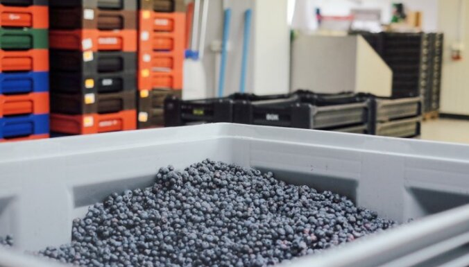 Латвия может! Как Very Berry выводит латвийские соки на мировой рынок