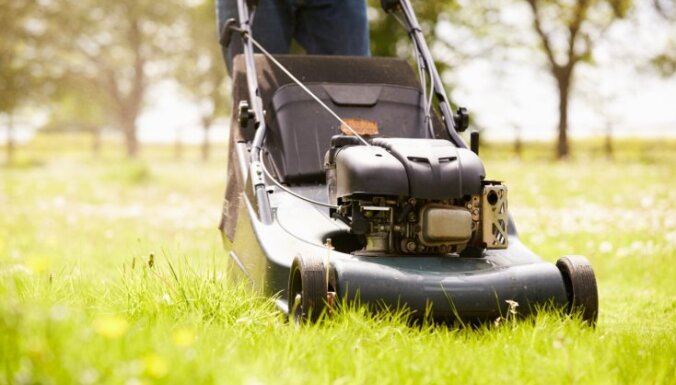 Дачные хитрости: 9 полезных способов использования скошенной травы