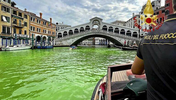 ФОТО. Гранд-канал в Венеции окрасился в ярко-зеленый цвет