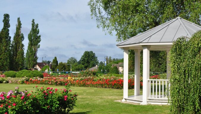 17 июля в Национальном ботаническом саду в Саласпилсе состоится ярмарка "День роз"