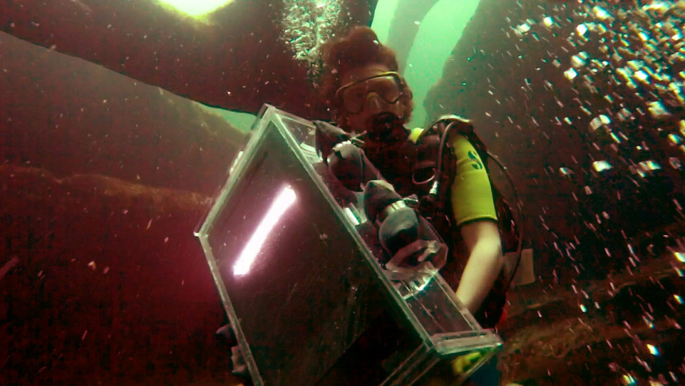 Художник сделал водонепроницаемый сканер и "отсканировал" океан (видео)