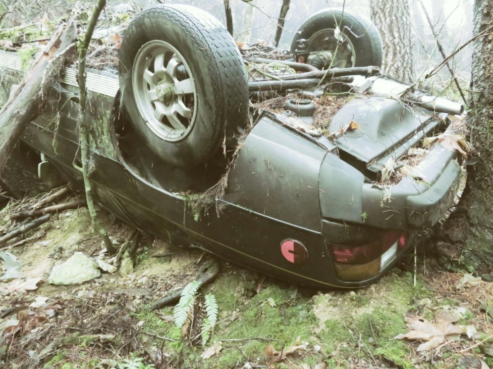 ФОТО. В США в лесной чаще нашли Porsche, угнанный и разбитый 25 лет назад