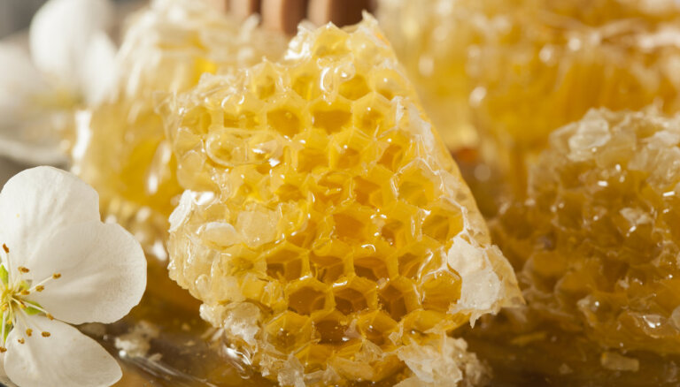 Kārdinošas medus receptes un 10 interesanti fakti par dzelteno zeltu