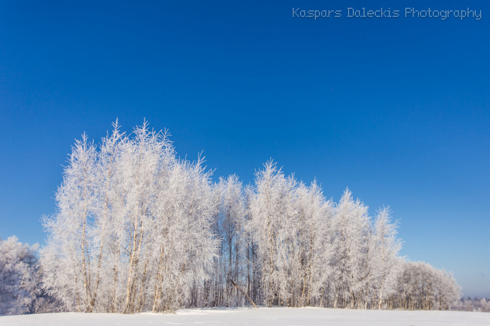 Fotogrāfs Vidzemē noķer skaistāko Latvijas ziemas dienu