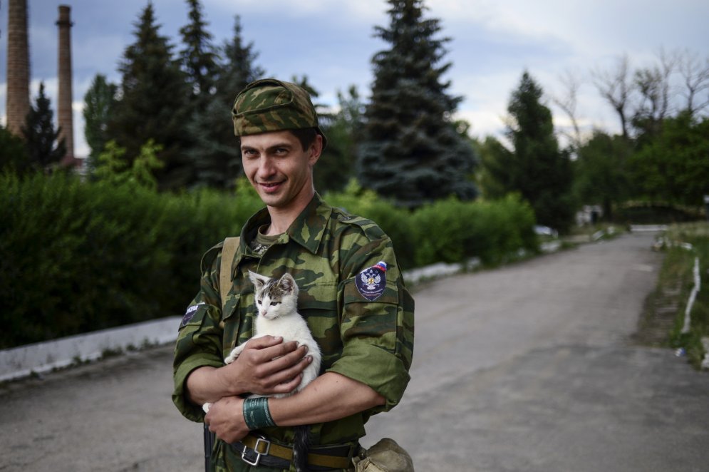 Озверение: жизнь котов и собак на охваченном войной востоке Украины