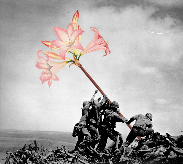 Mākslinieks ieročus aizvieto ar puķēm