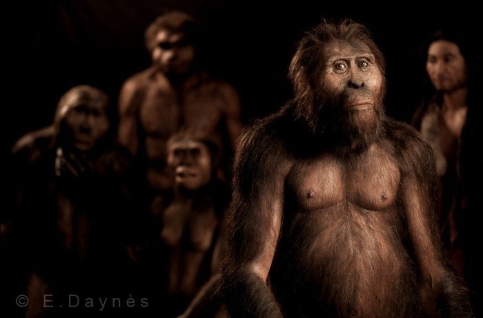 Spalvainie purni: kā izskatījās mūsu senči pirms miljoniem gadu