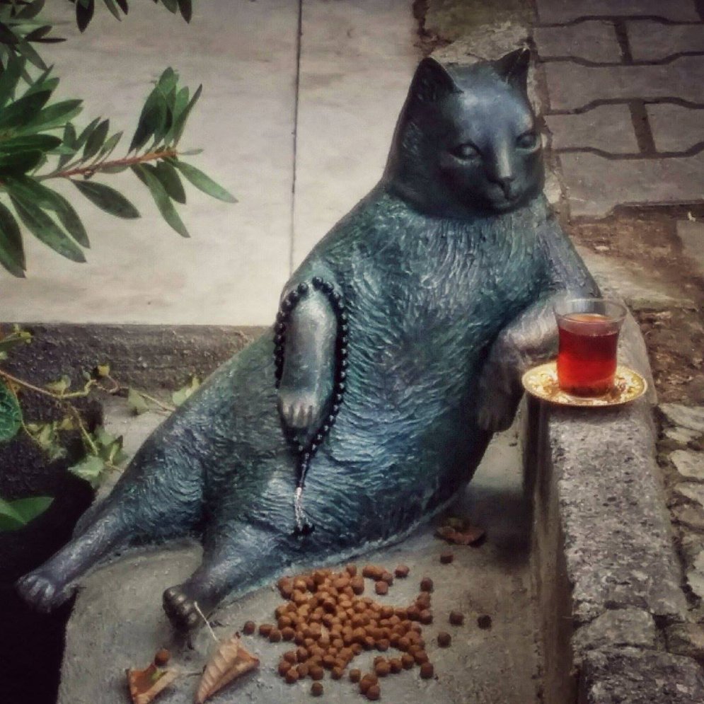 Самый знаменитый кот Стамбула получил личный памятник в его любимом месте
