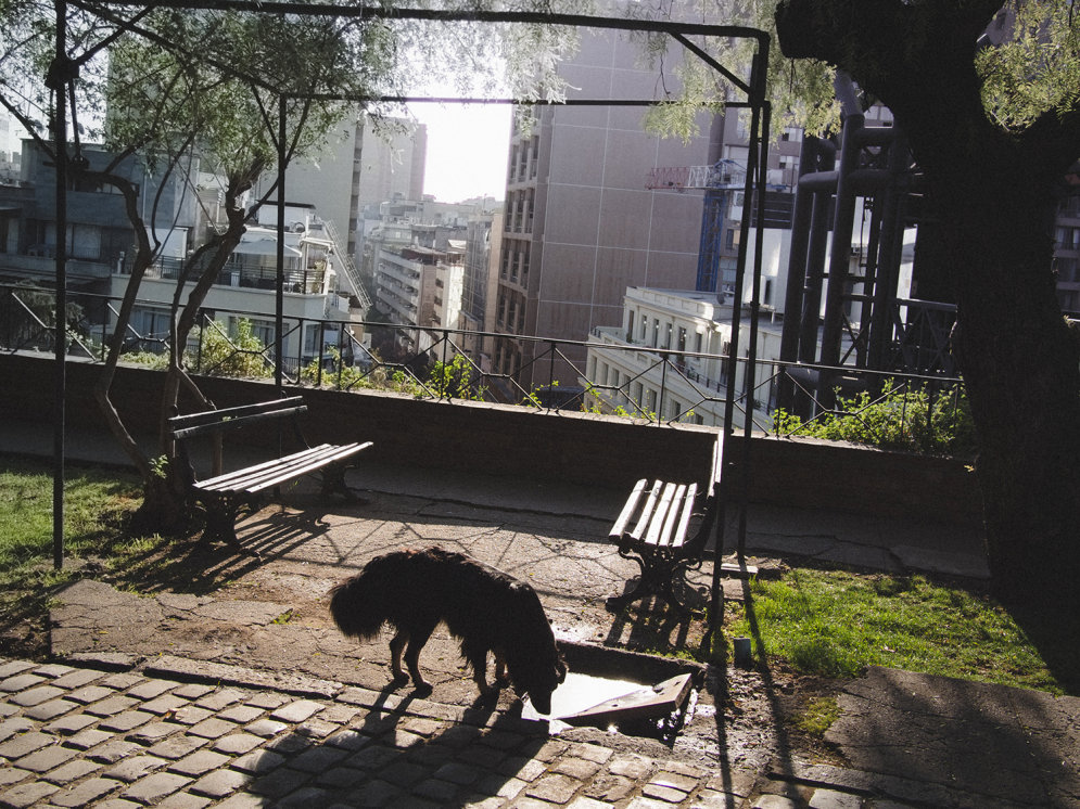Город собак, артистов и поцелуев, или Сантьяго глазами Светланы Чертковой