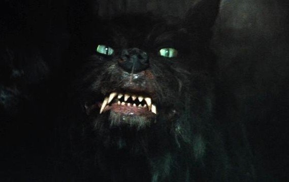 Jauns interneta briesmonis – kaķis, kurš izskatās pēc dēmona