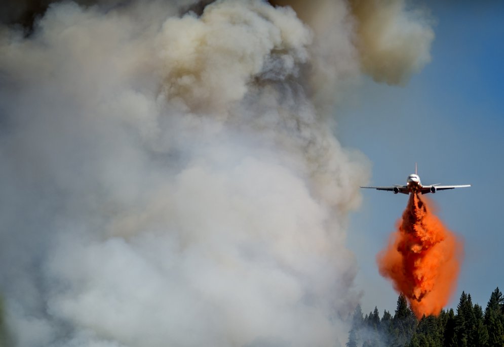 Адское пламя: 11 ужасающе прекрасных фотографий лесных пожаров
