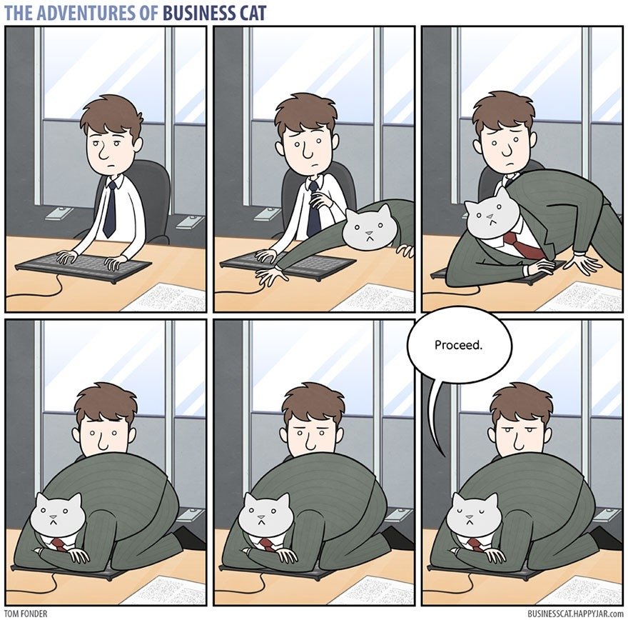 Kāds būtu darbs birojā, ja jūsu boss būtu... parasts kaķis