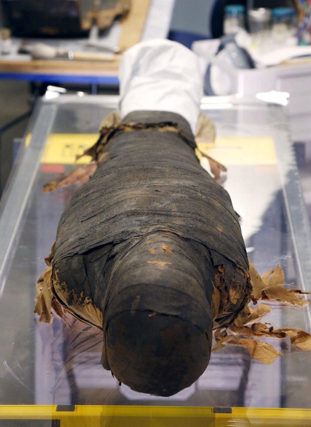 Zinātnieki no sarkofāga izceļ 2500 gadus vecu mūmiju