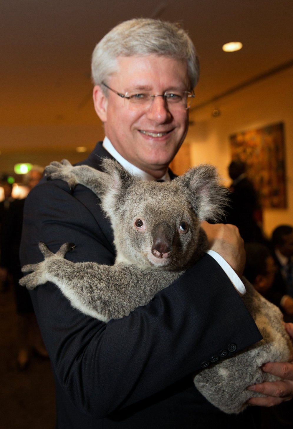 Хочу на ручки: 7 чудесных фотографий коал с мировыми лидерами