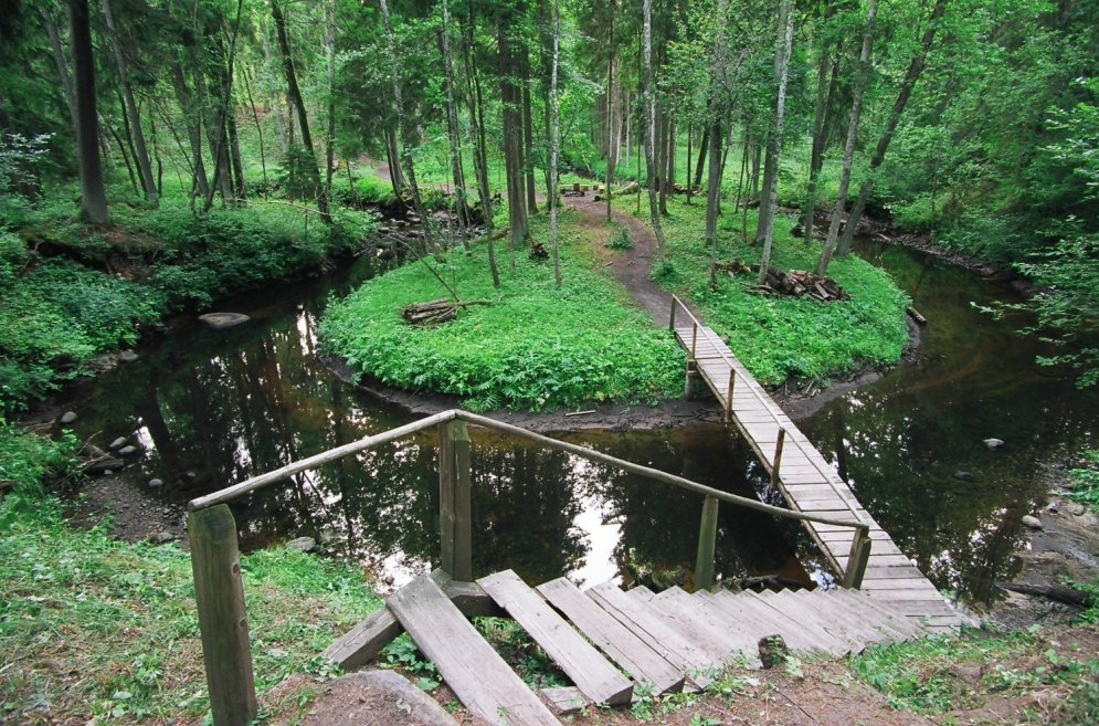 Dendroloģiskie jeb mākslīgi veidotie parki Latvijā