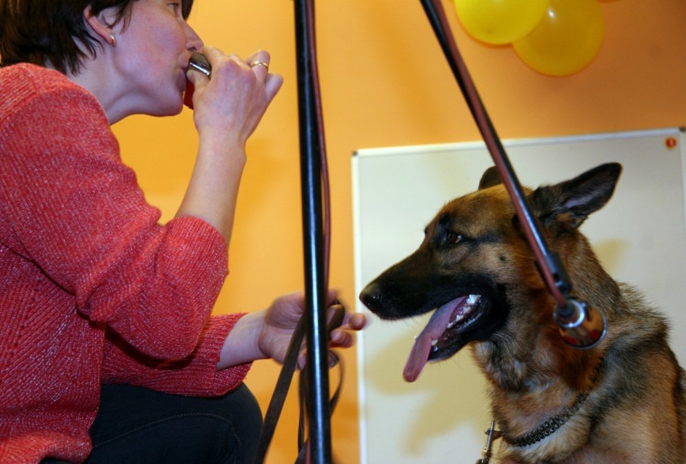 2005. gadā Rīgā norisinājās suņu 'talantu fabrika'
