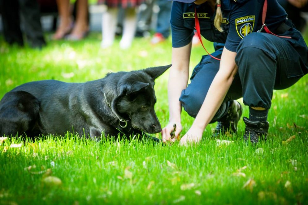Служить и защищать: 8 действительно классных фото латвийской полиции