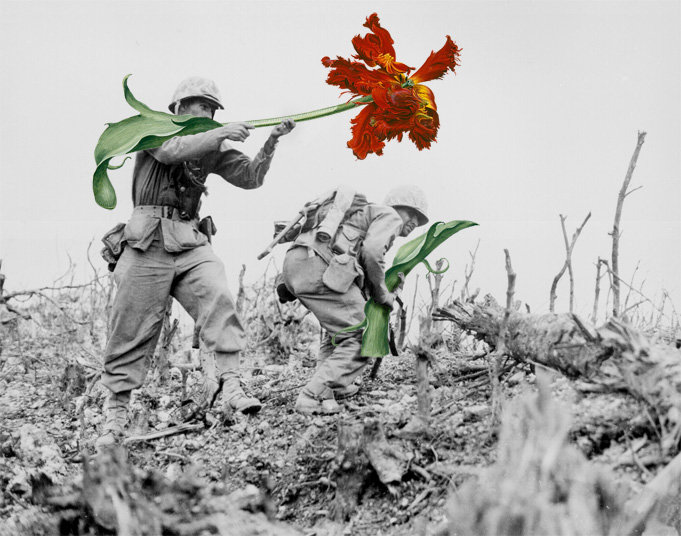 Mākslinieks ieročus aizvieto ar puķēm