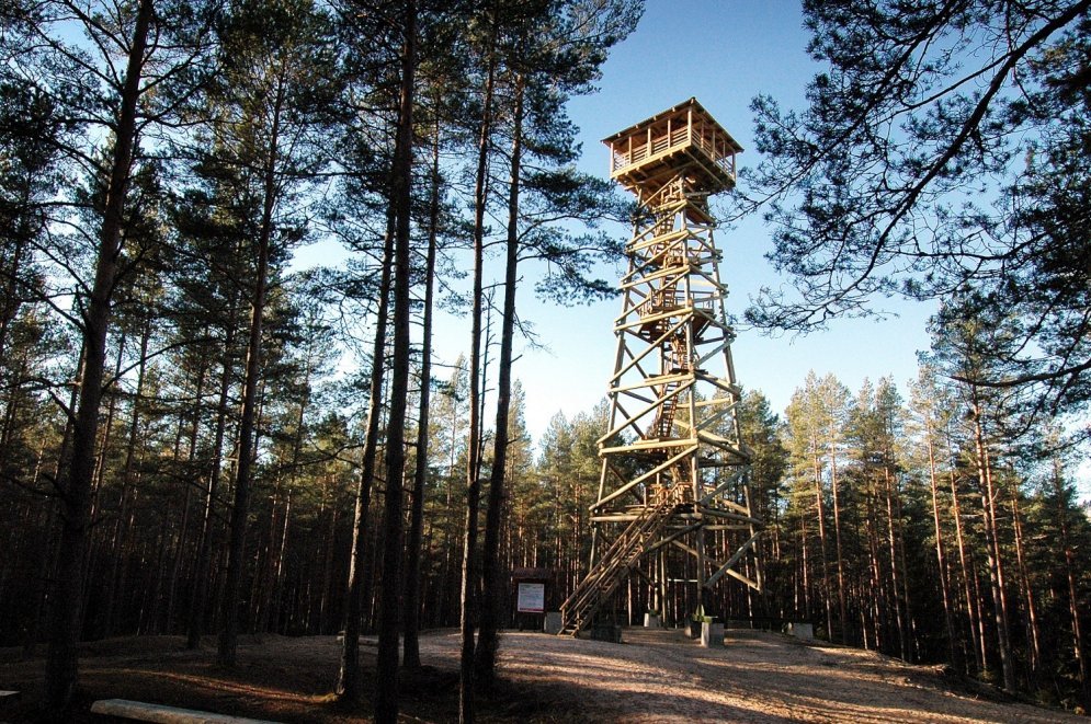 Как смотреть на Латвию "золотой осенью": самые высокие вышки страны