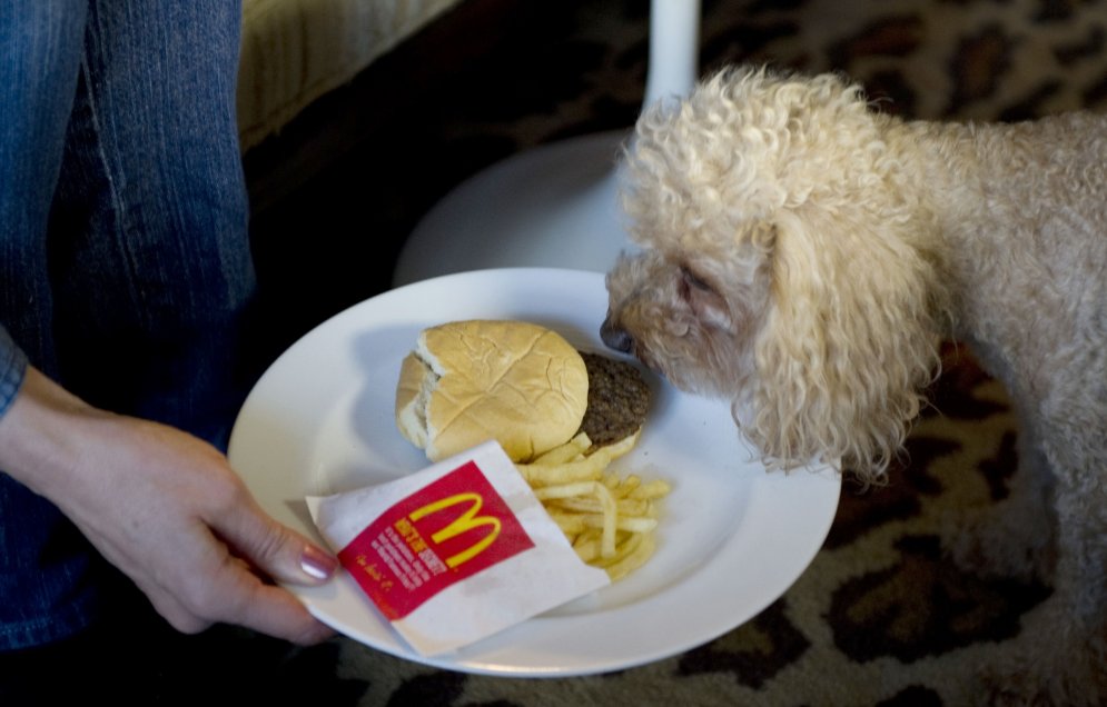 Fotogrāfe iemūžina, kā 'fast food' pretojas dabas likumiem