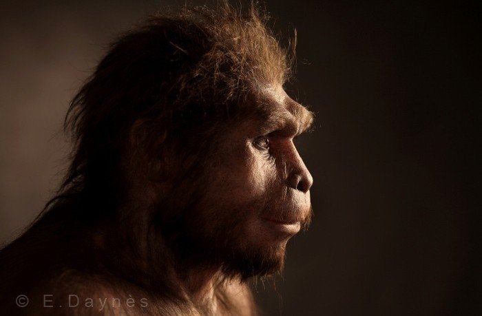 Spalvainie purni: kā izskatījās mūsu senči pirms miljoniem gadu