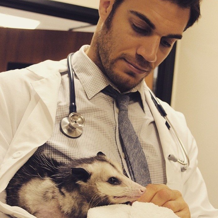Atrasts seksīgākais veterinārārsts pasaulē