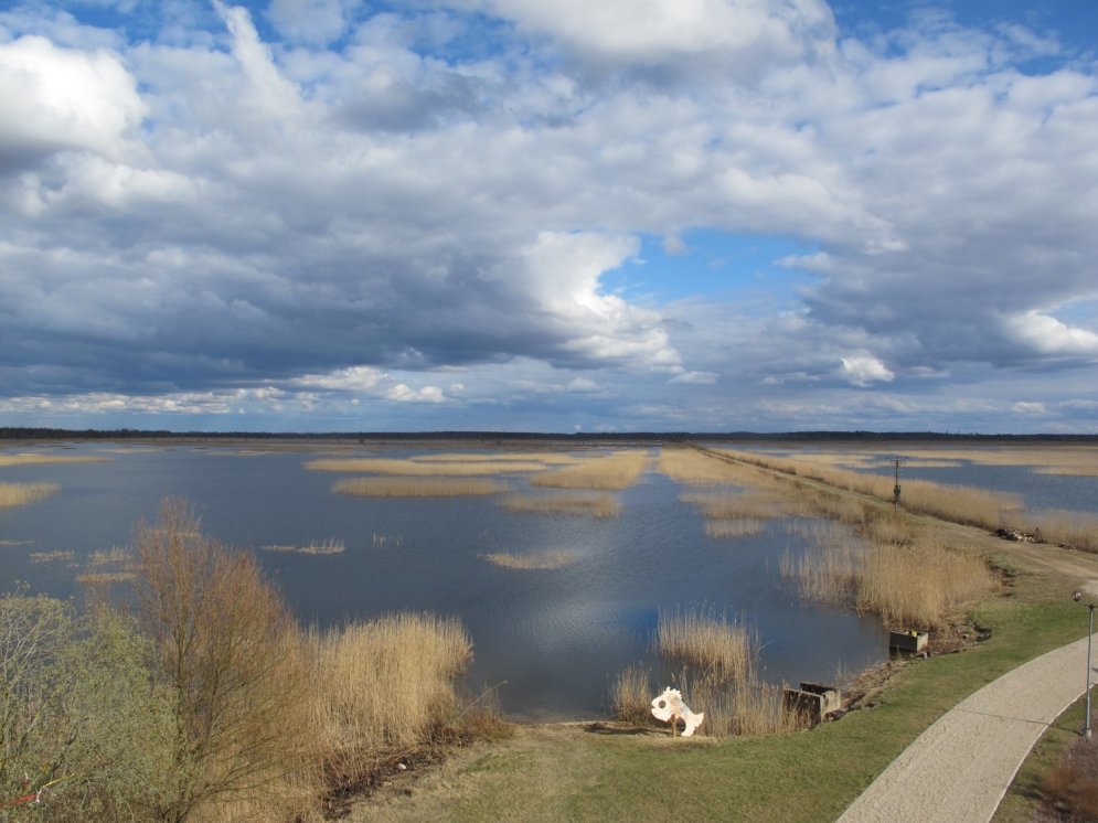 Sešas labākās putnu vērošanas vietas Latvijā