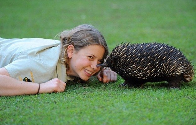 Krokodilu mednieka Stīva Ērvina meita izaugusi par skaistuli