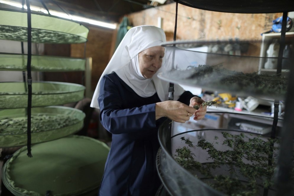 Foto: Kā dzīvo svētās māsas-marihuānas audzētājas