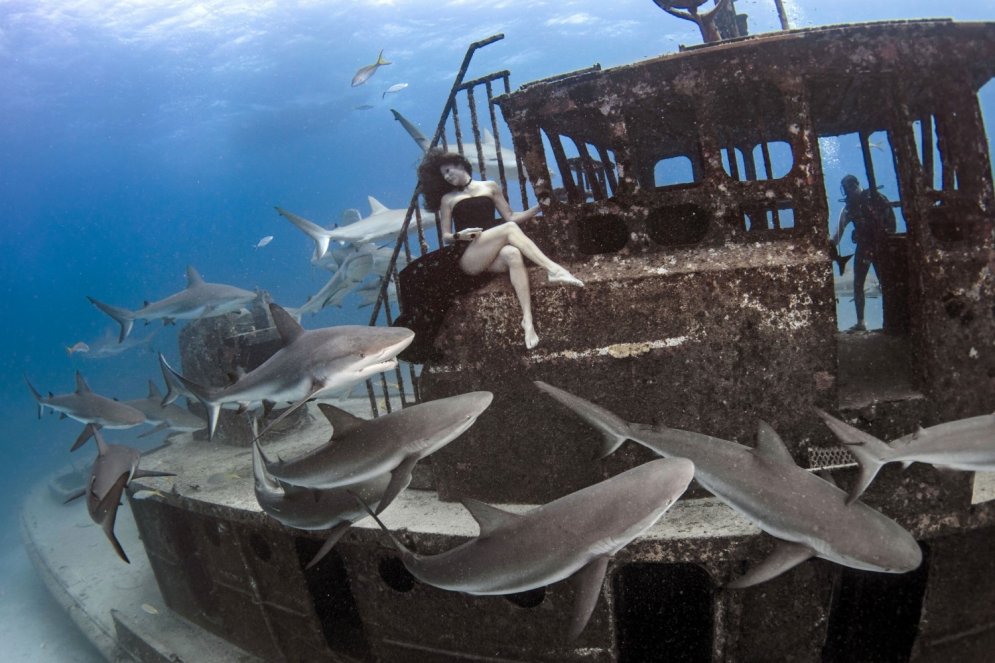 Neticami kadri: modele pozē zem ūdens ar haizivīm