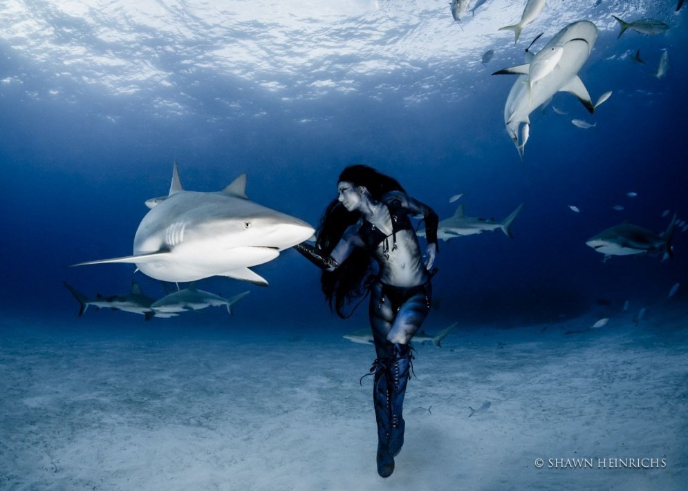 Bīstamas dejas ar haizivīm zem ūdens