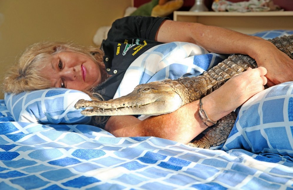 Austrālijā sieviete dzīvo un guļ kopā ar krokodilu Džoniju