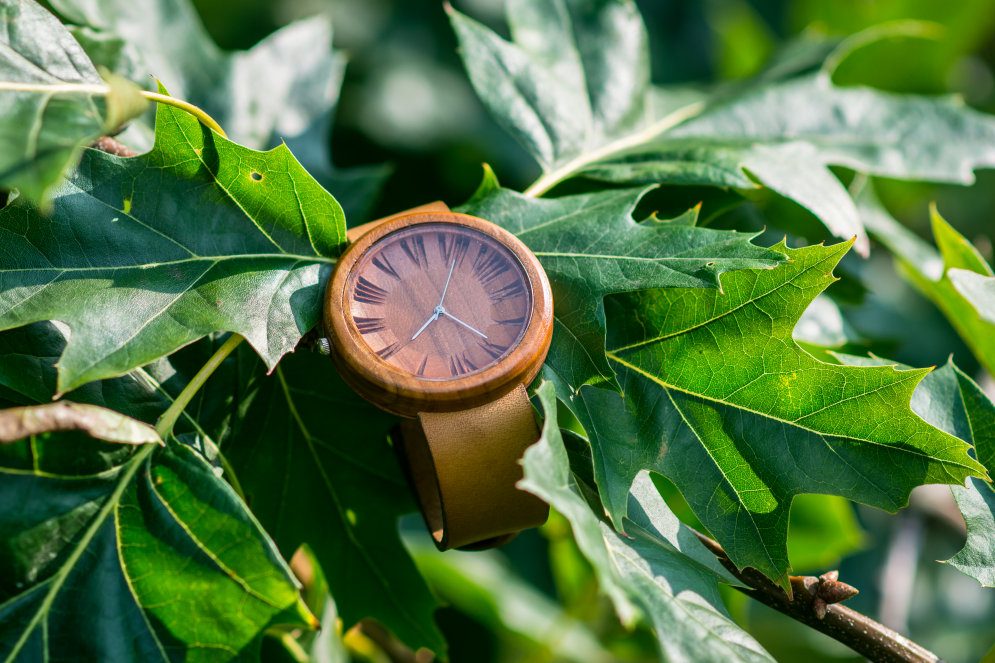 Латвийская "Нокия": Лиепайчане собирают на наручные часы из дерева $12 000. Поможем?