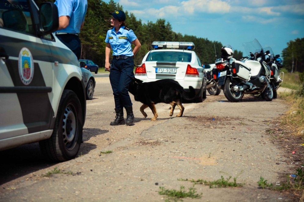 Латвийский "комиссар Рекс". Что мы знаем про бравого полицейского пса Нато